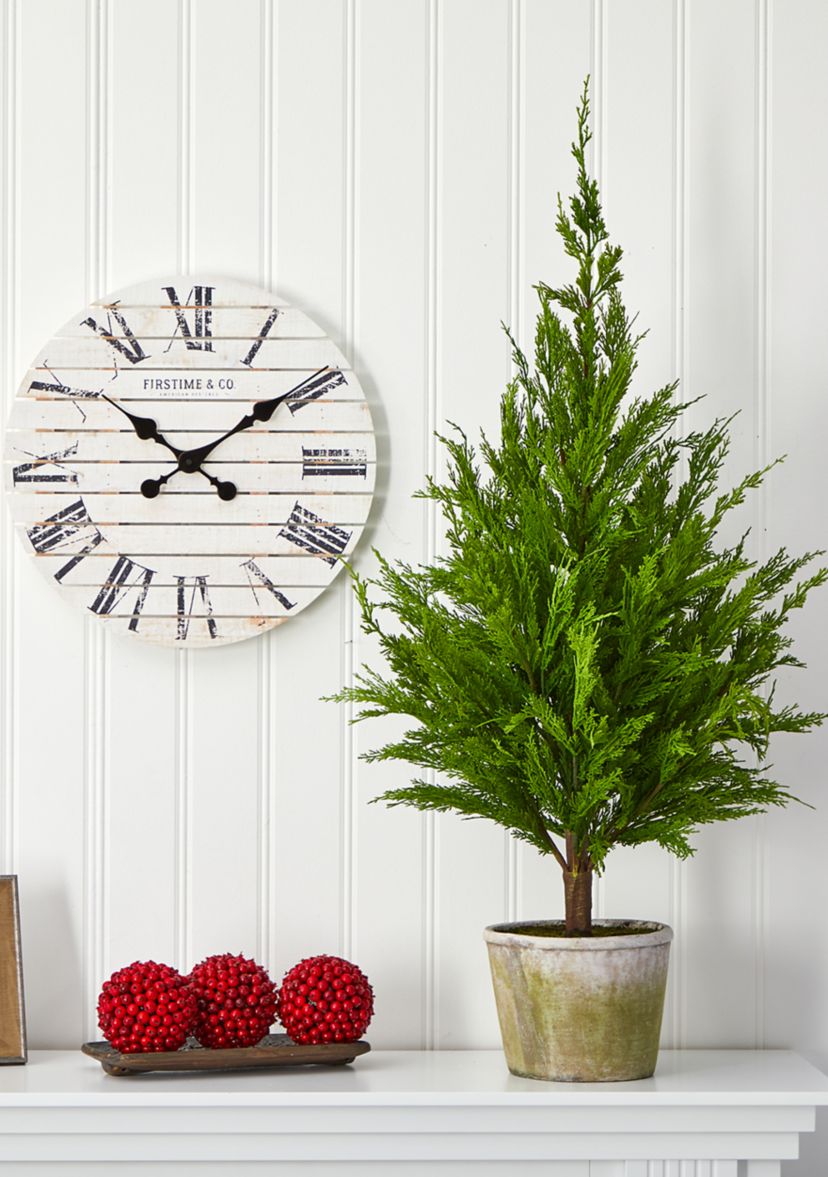 3.5 Foot Cedar Pine Tree