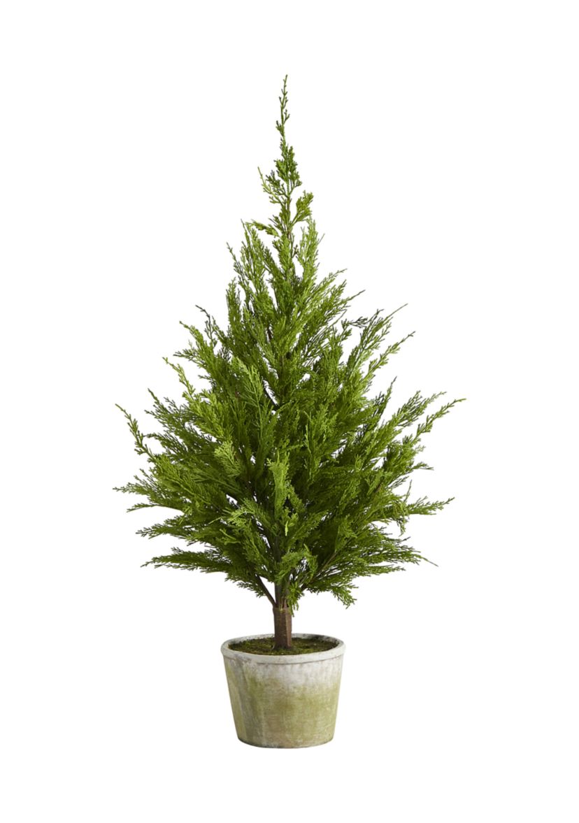 3.5 Foot Cedar Pine Tree