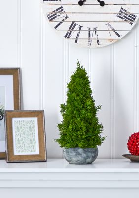 Nearly Natural Cypress Cone Tree in Decorative Planter, Green, 2 Foot