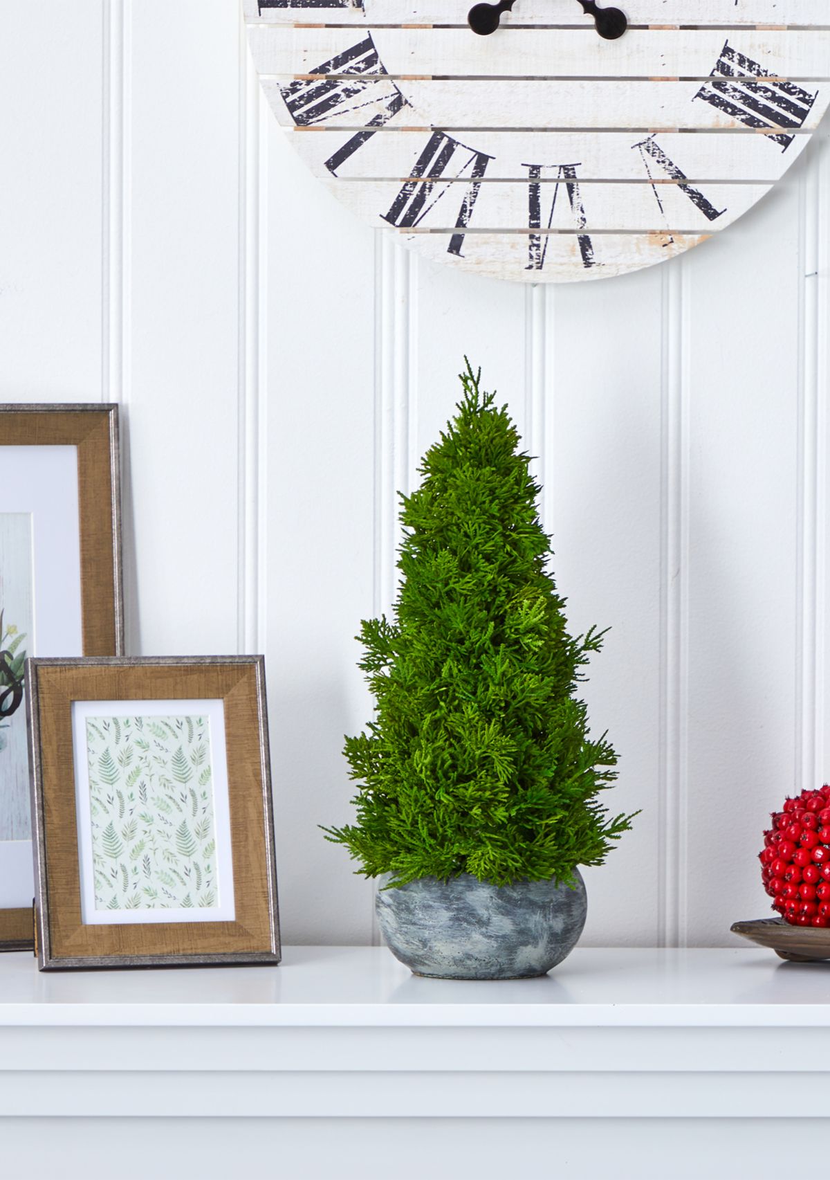 Cypress Cone Tree in Decorative Planter