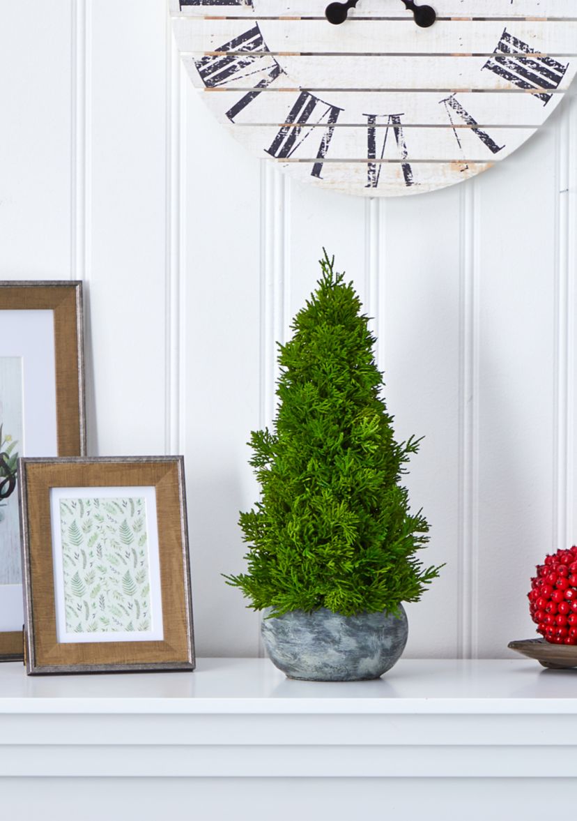 Cypress Cone Tree in Decorative Planter