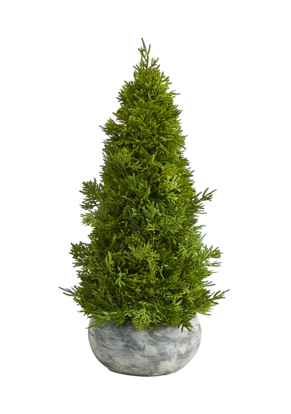 Cypress Cone Tree in Decorative Planter