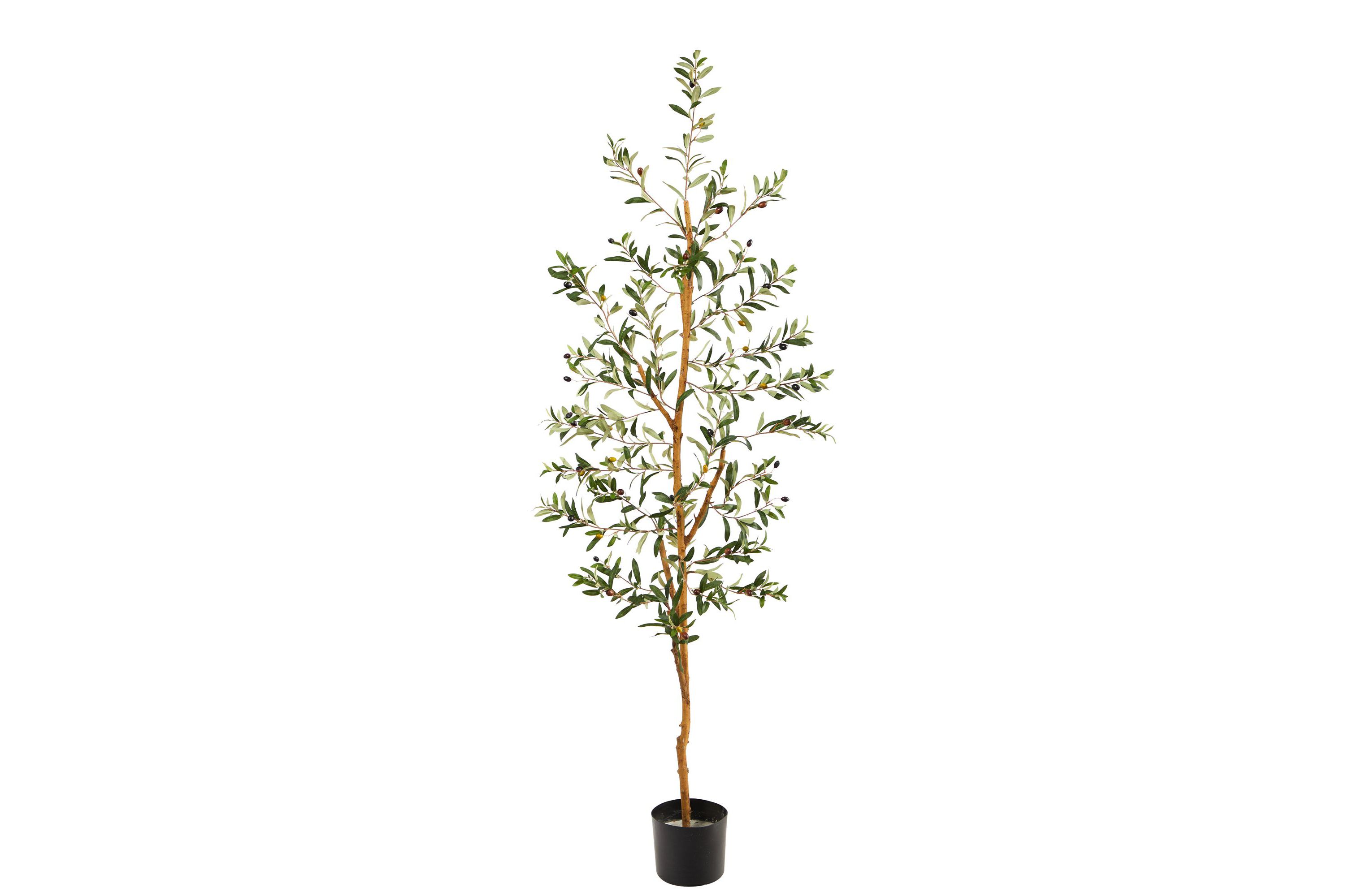 5.5-Foot Olive Artificial Tree