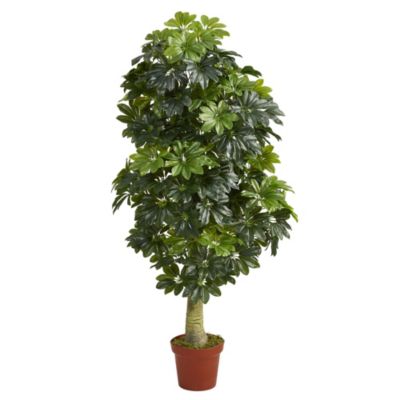 5-Foot Schefflera Artificial Tree (Real Touch)