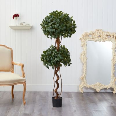 5-Foot Sweet Bay Double Ball Topiary Artificial Tree