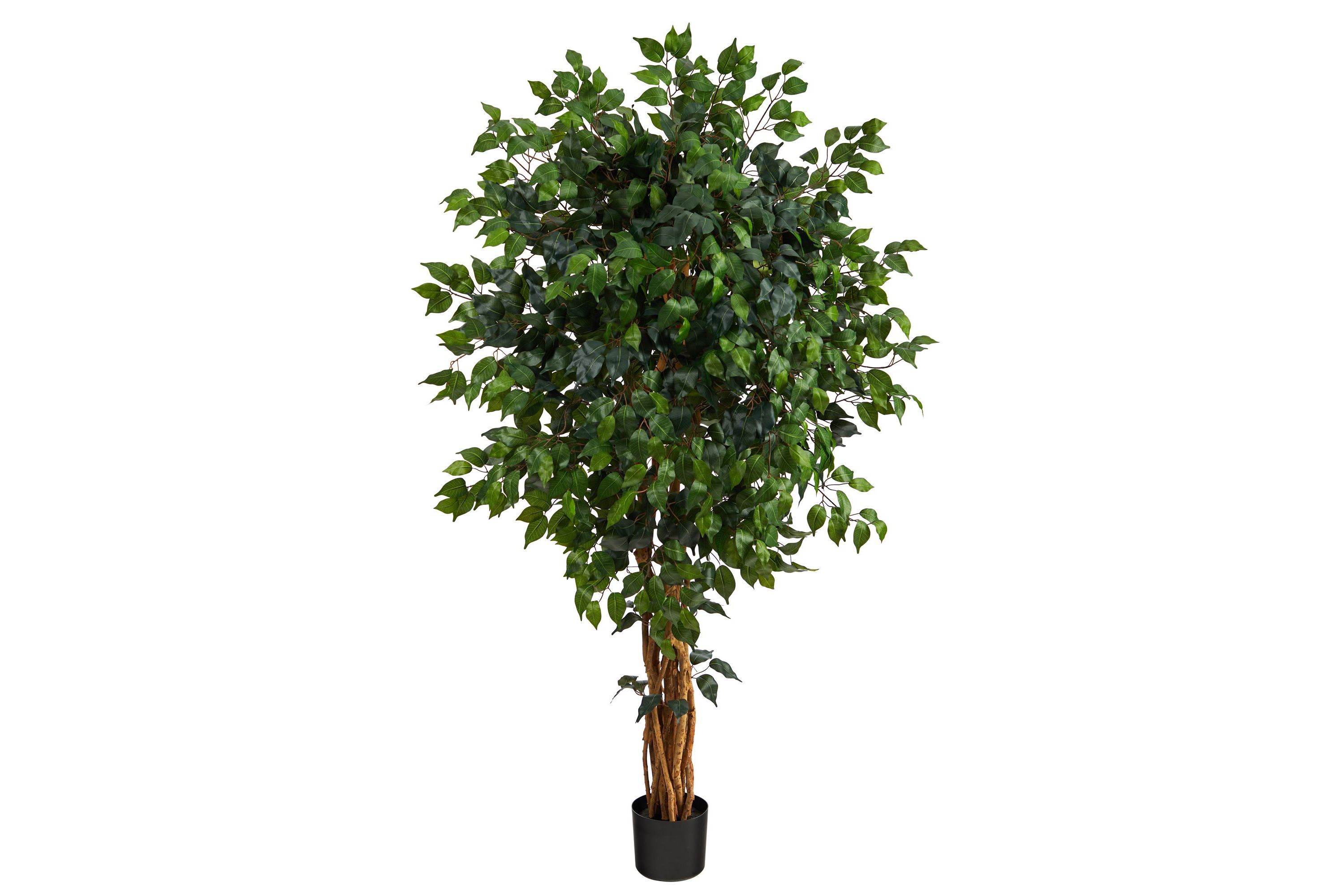 5.5-Foot Palace Ficus Artificial Tree