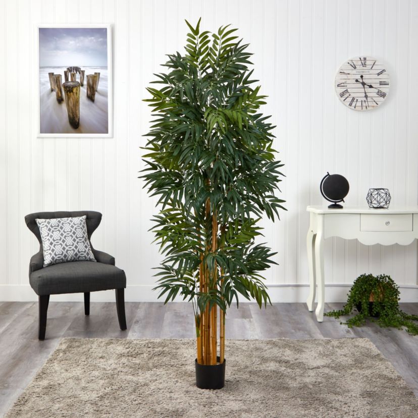 5.5-Foot Phoenix Artificial Palm tree with Natural Trunk