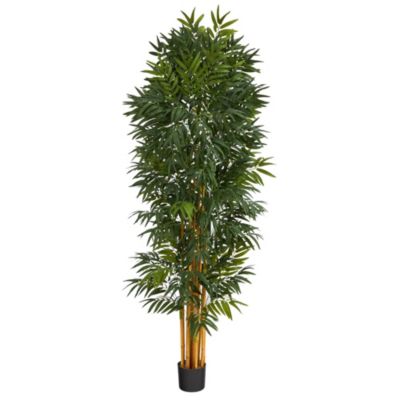 Foot Phoenix Artificial Palm tree with Natural Trunk