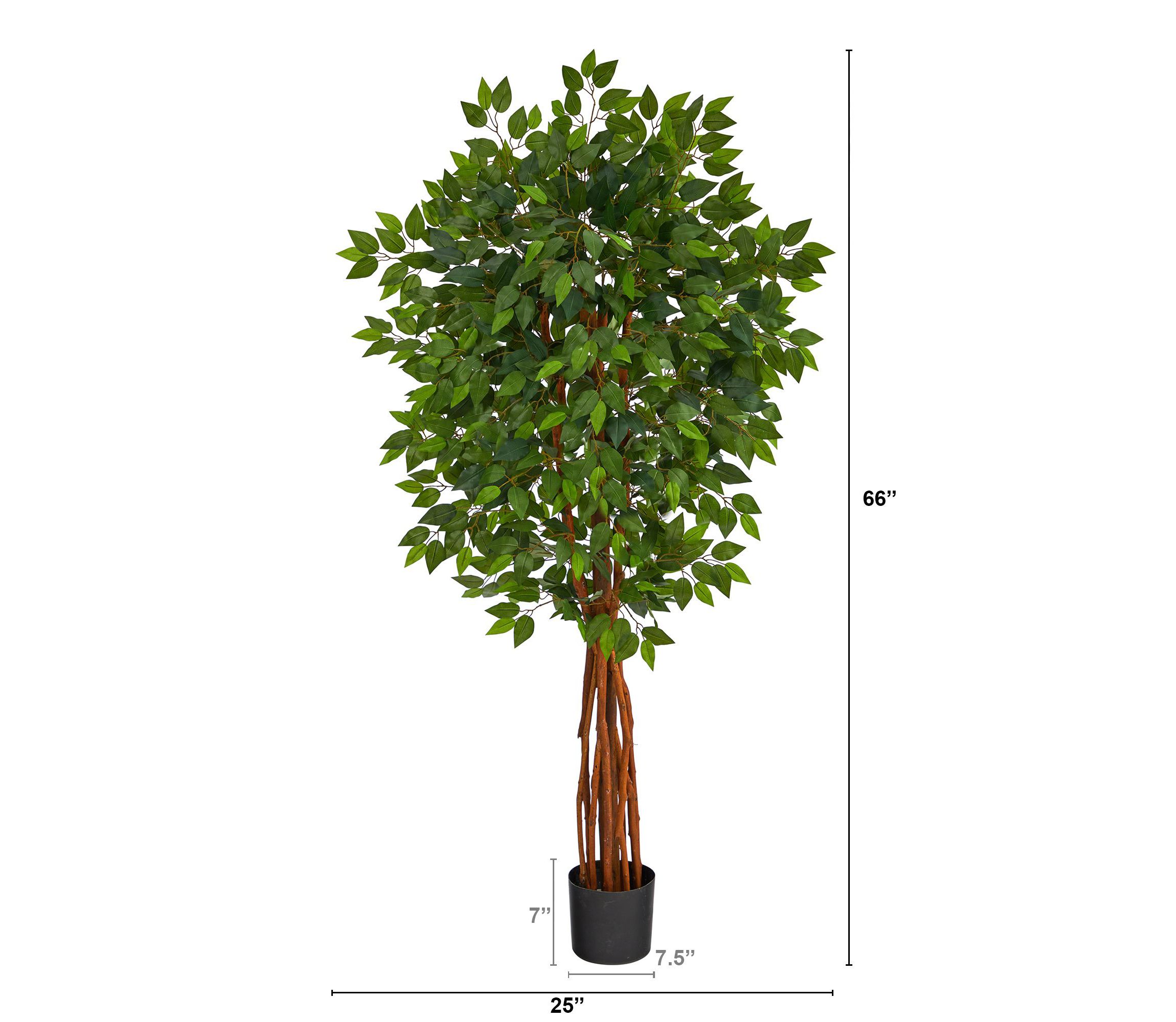 5.5-Foot Super Deluxe Natural Trunk Ficus Artificial Tree with Natural Trunk