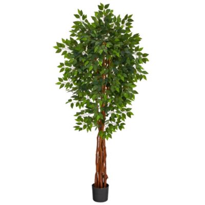 Nearly Natural 6.5-Foot Super Deluxe Ficus Artificial Tree with Natural Trunk, Green