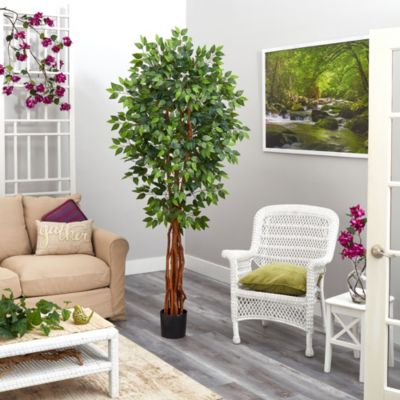 Foot Super Deluxe Ficus Artificial Tree with Natural Trunk