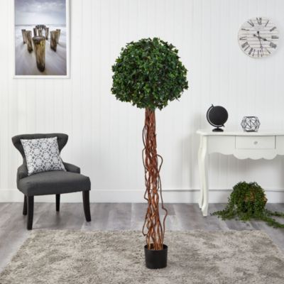 5.5-Foot English Ivy Single Ball Artificial Topiary Tree with Natural Trunk UV Resistant (Indoor/Outdoor)