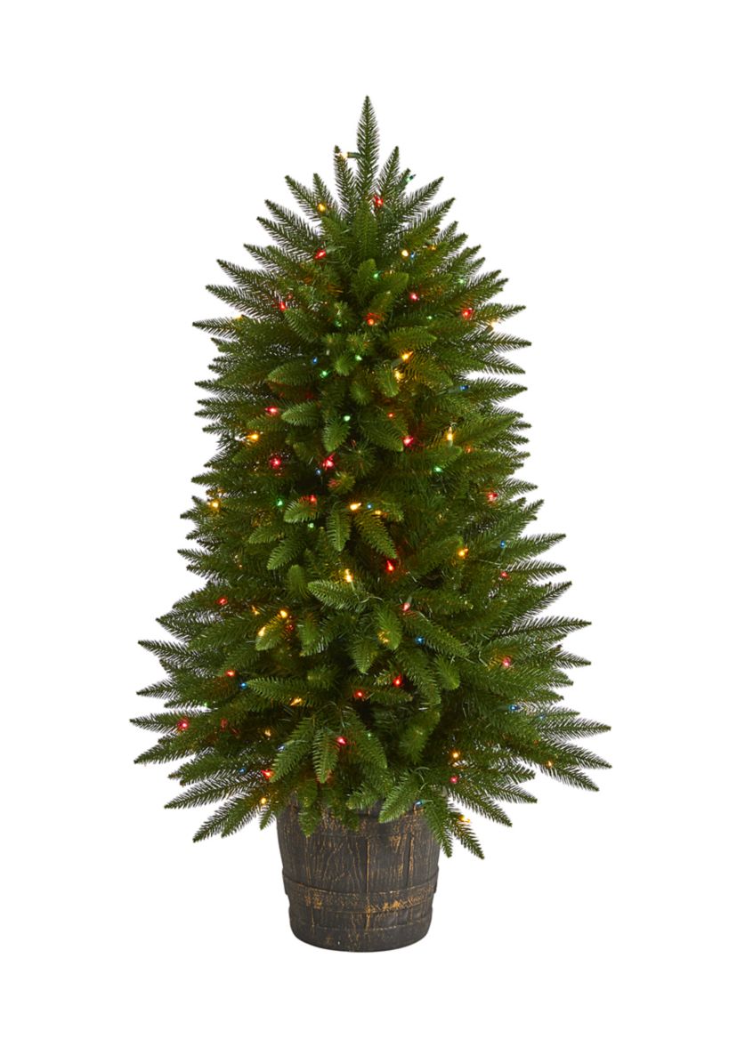 Sierra Fir Christmas Tree