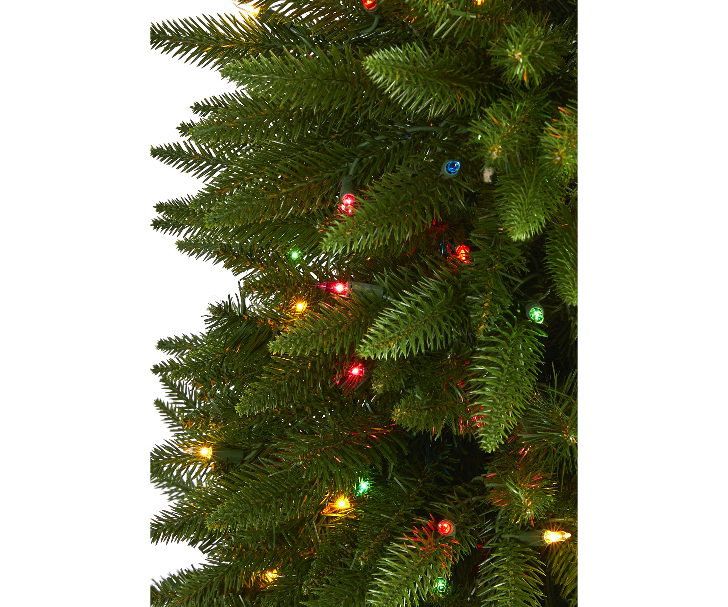 Sierra Fir Christmas Tree
