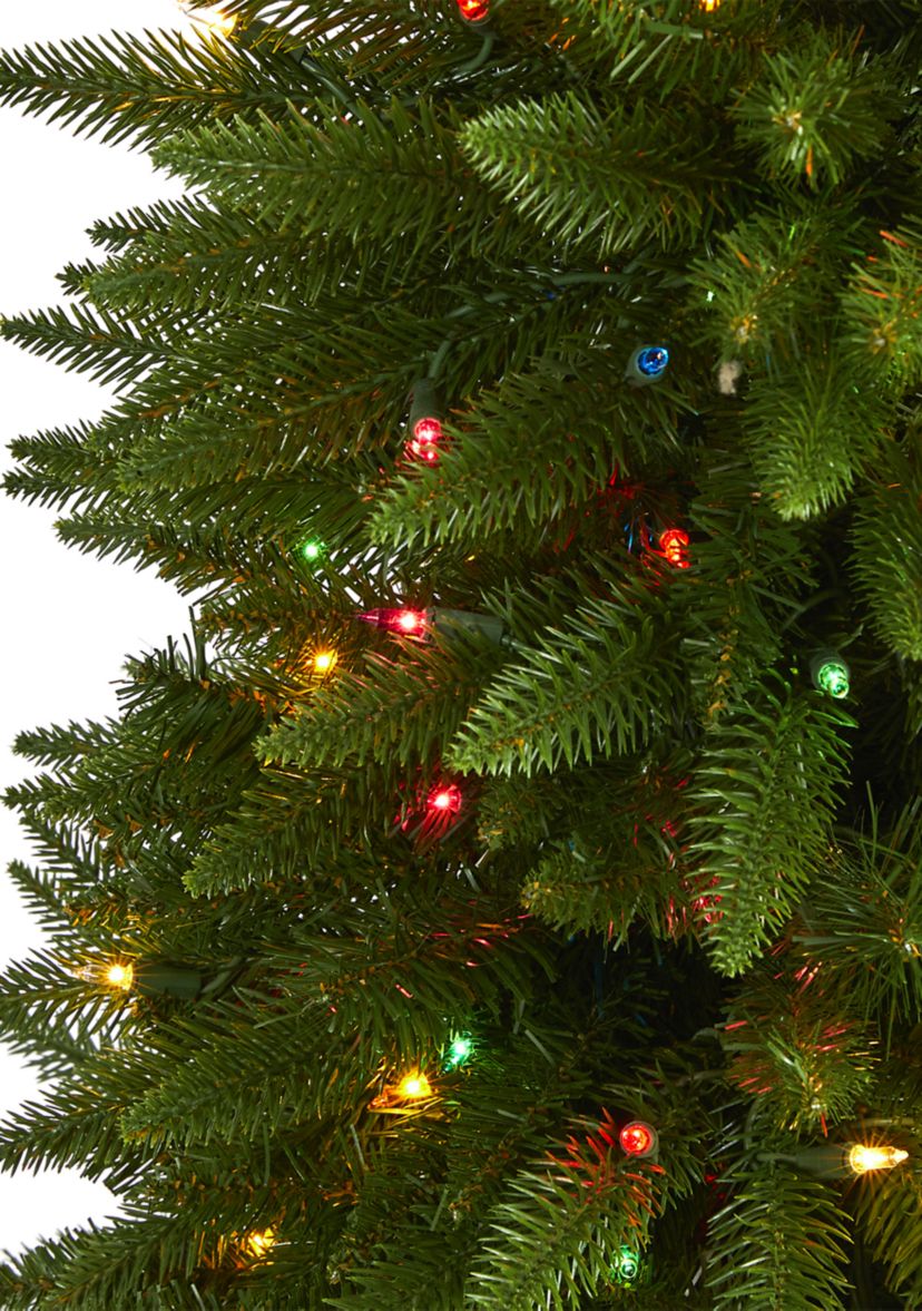 Sierra Fir Christmas Tree