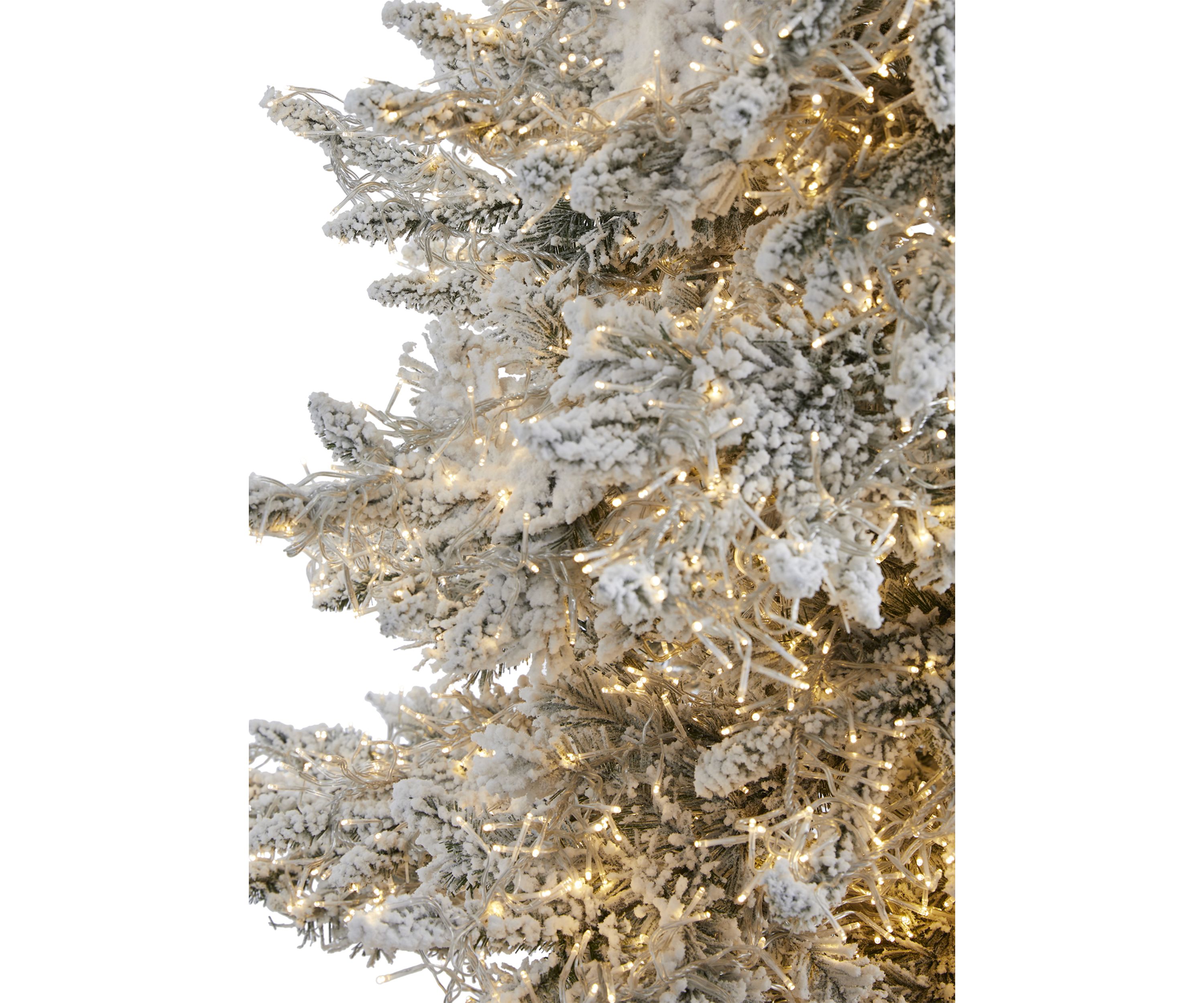 Flocked Grand Northern Rocky Fir Christmas Tree