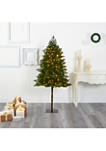 6 Foot Swiss Alpine Artificial Christmas Tree with 250 Clear LED Lights and 450 Bendable Branches