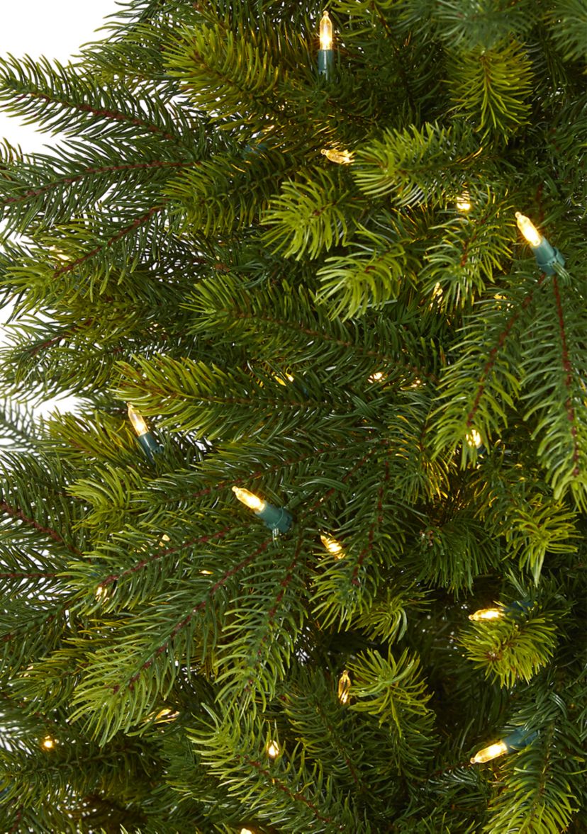 5 Foot Manchester Fir Artificial Christmas Tree in Decorative Planter with 250 Clear Warm (Multifunction) LED Lights and 366 Bendable Branches