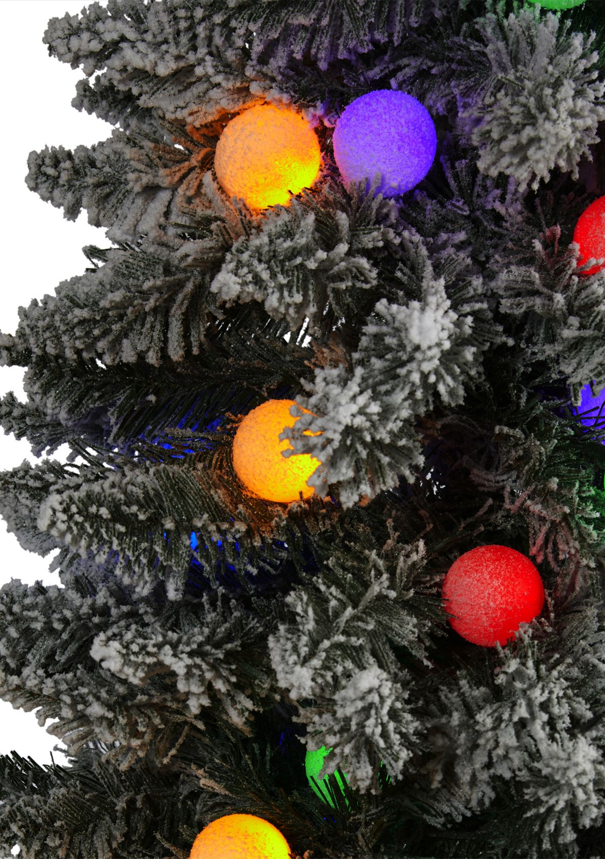 Flocked British Columbia Mountain Fir Christmas Tree