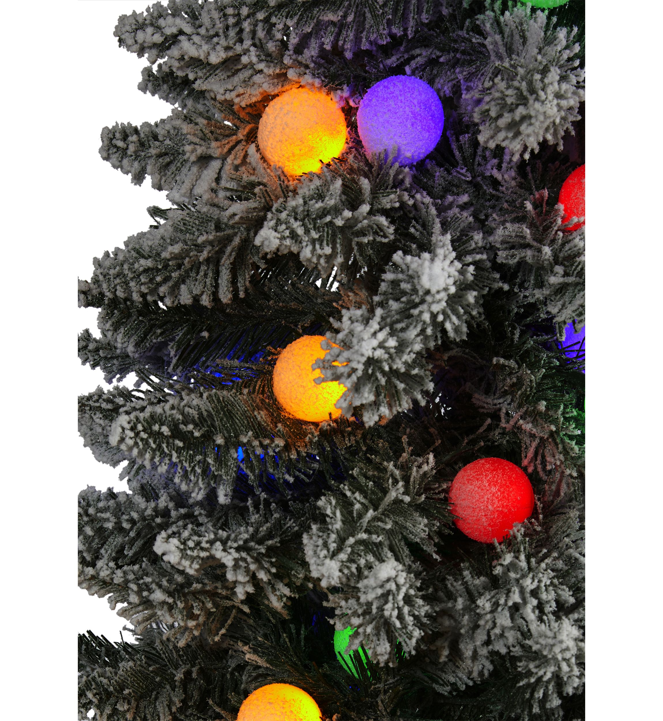 Flocked British Columbia Mountain Fir Christmas Tree
