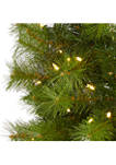 6.5 Foot Green Valley Pine Artificial Christmas Tree with 300 Warm White LED Lights and 579 Bendable Branches