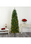 7 Foot Slim Green Mountain Pine Artificial Christmas Tree with 300 Clear LED Lights
