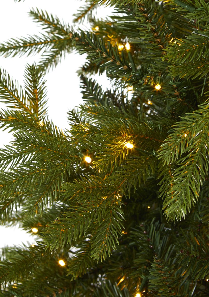 7 Foot Belgium Fir “Natural Look” Artificial Christmas Tree with 500 Clear LED Lights
