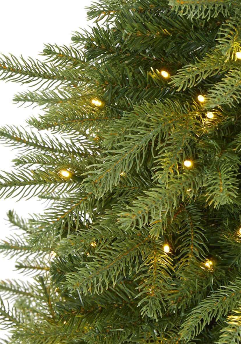 Vancouver Fir Christmas Tree
