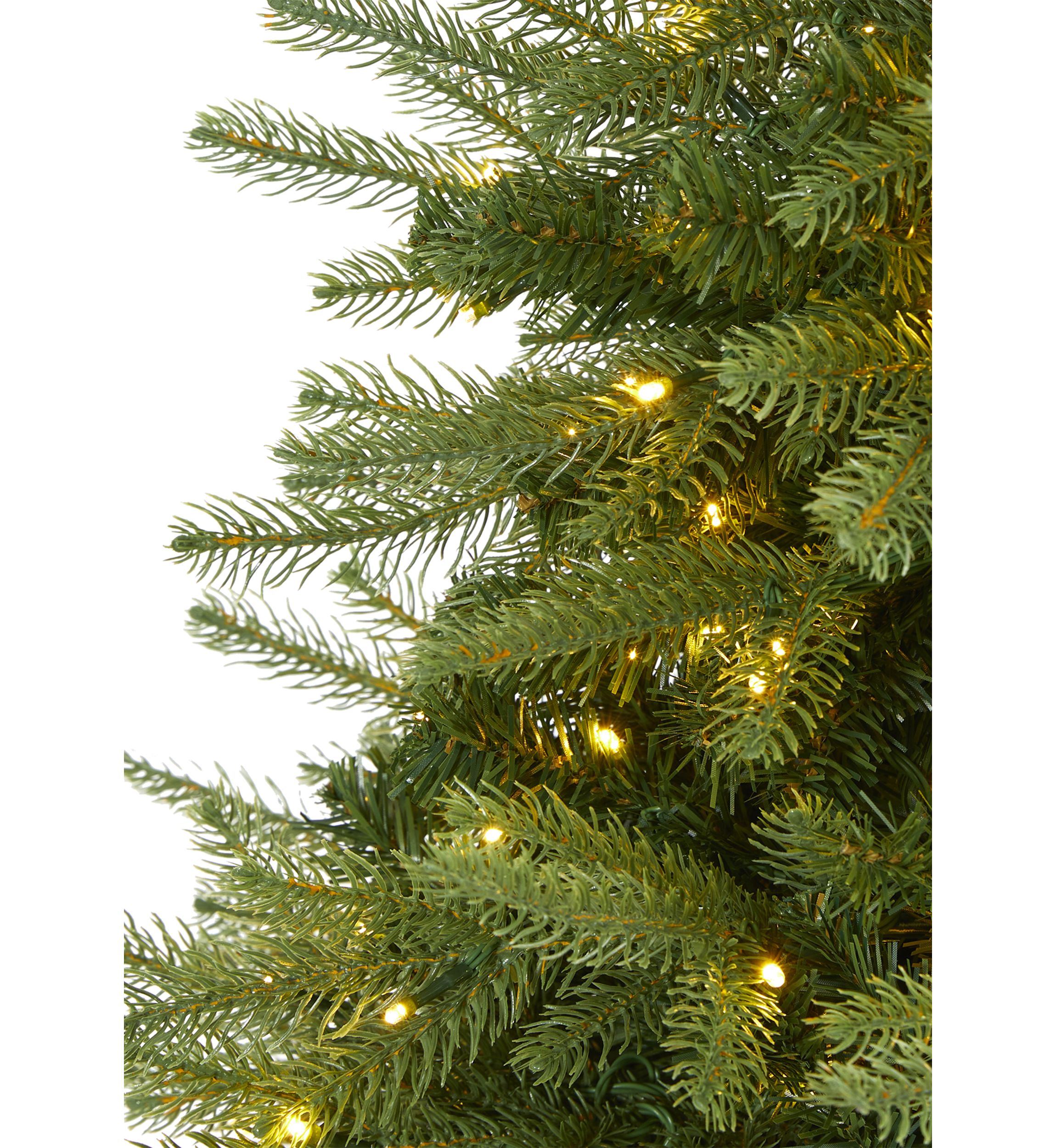 Vancouver Fir Christmas Tree