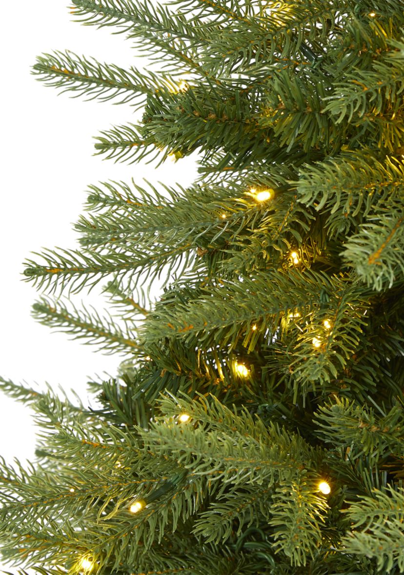 Vancouver Fir Christmas Tree