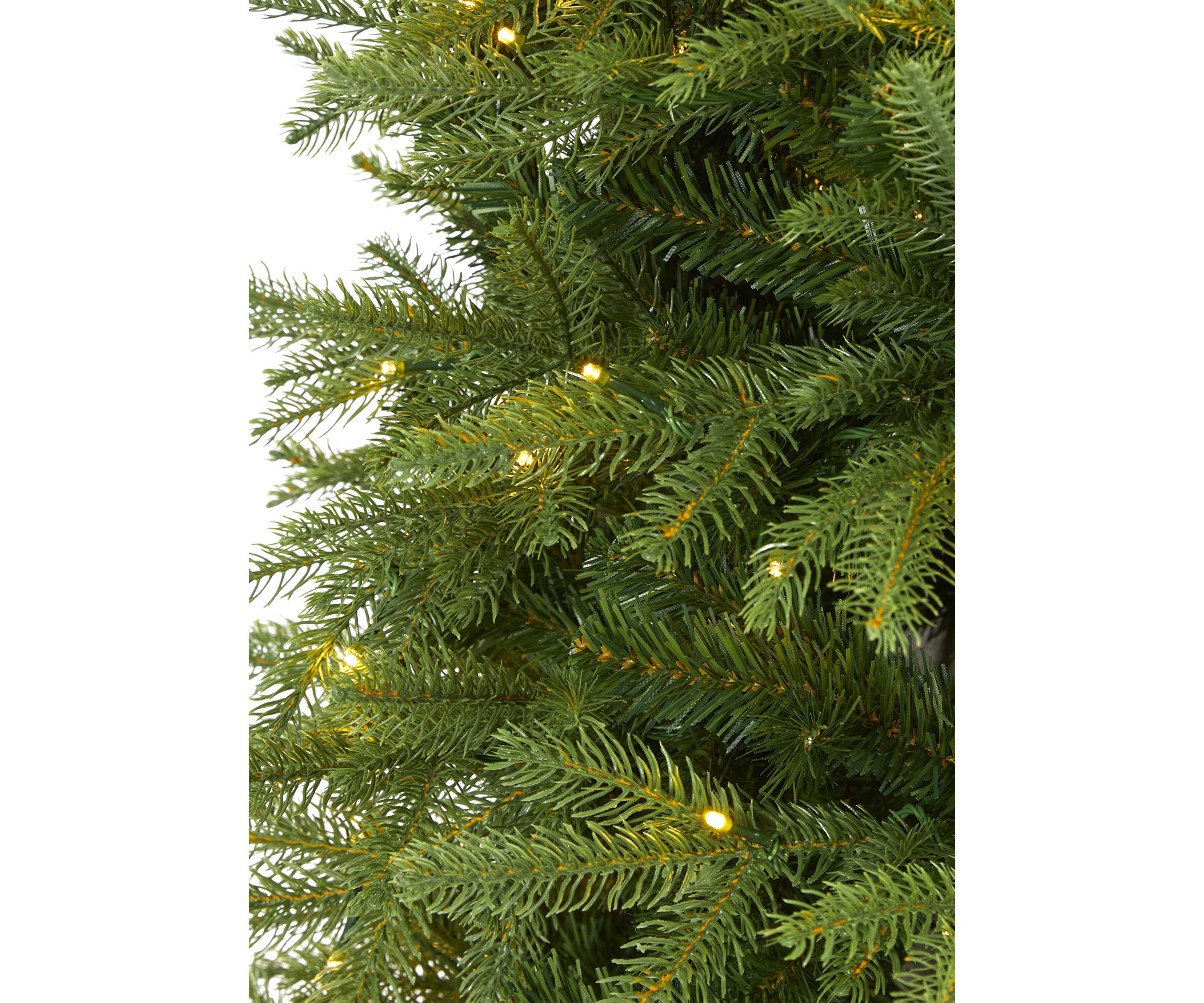 Vancouver Fir Christmas Tree