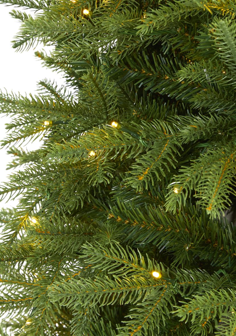 Vancouver Fir Christmas Tree