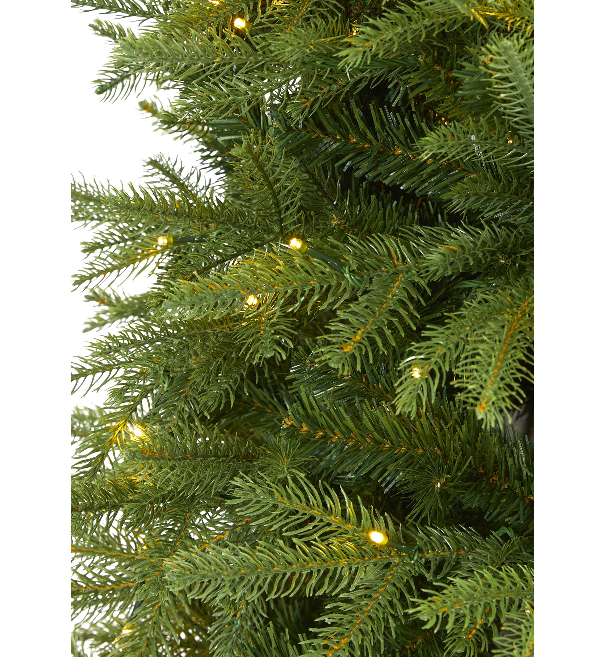 6.5 Foot Vancouver Fir Christmas Tree