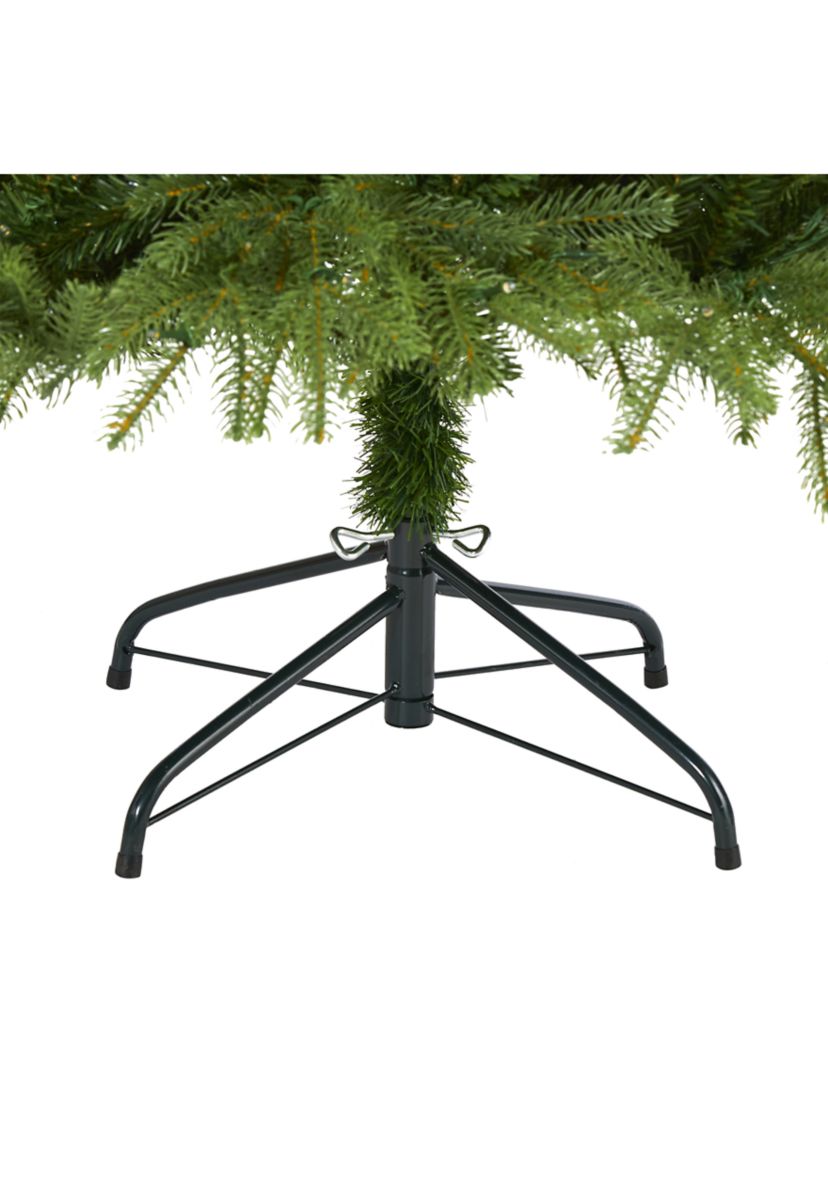 6.5 Foot Vancouver Fir Christmas Tree