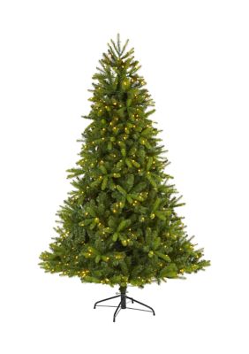 7-Foot New Haven Spruce Natural Look Artificial Christmas Tree with 500 LED Lights