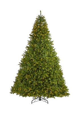 Nearly Natural 9 Foot Sierra Spruce âNatural Lookâ Artificial Christmas Tree with 1000 Clear LED Lights and 4443 Tips, Green