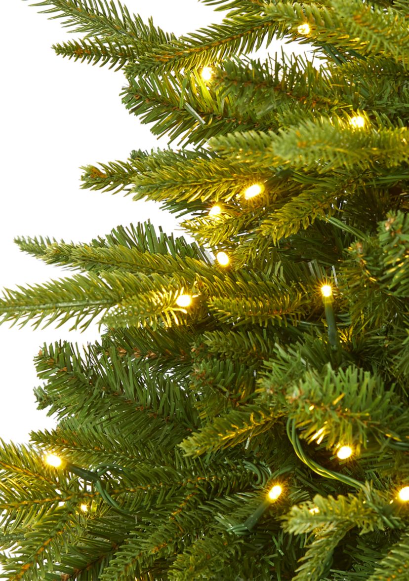 5 Foot Colorado Mountain Fir “Natural Look” Artificial Christmas Tree with 250 Clear LED Lights