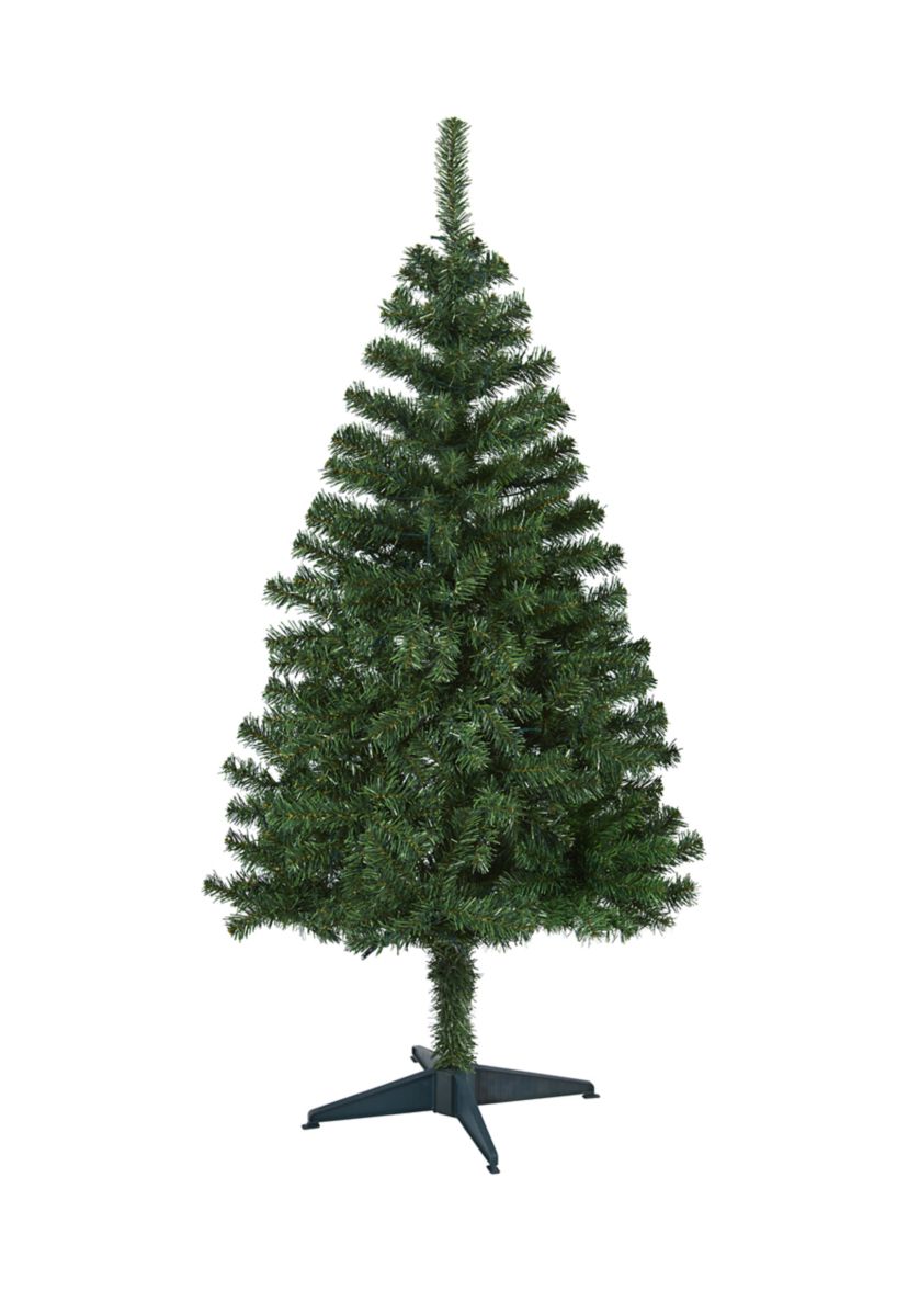 Northern Tip Pine Christmas Tree