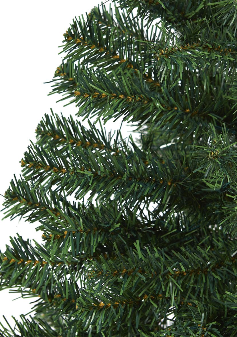 Northern Tip Pine Christmas Tree