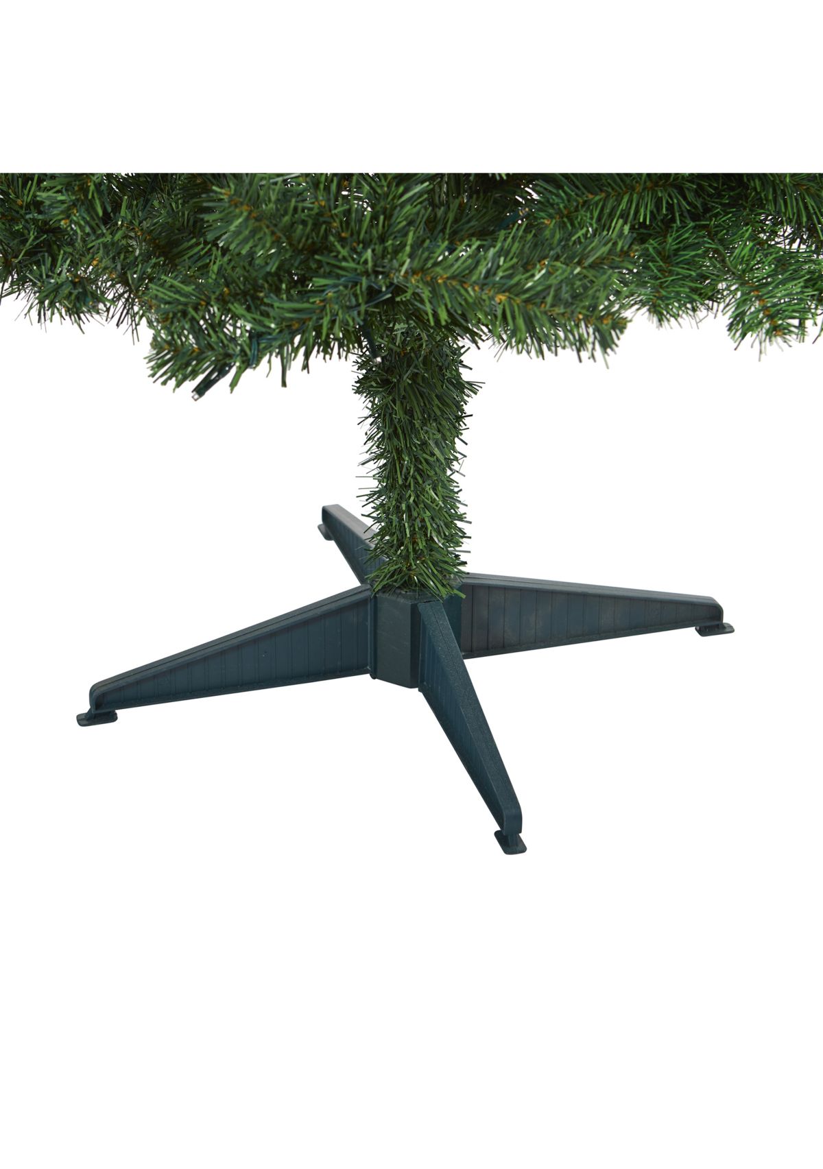 Northern Tip Pine Christmas Tree