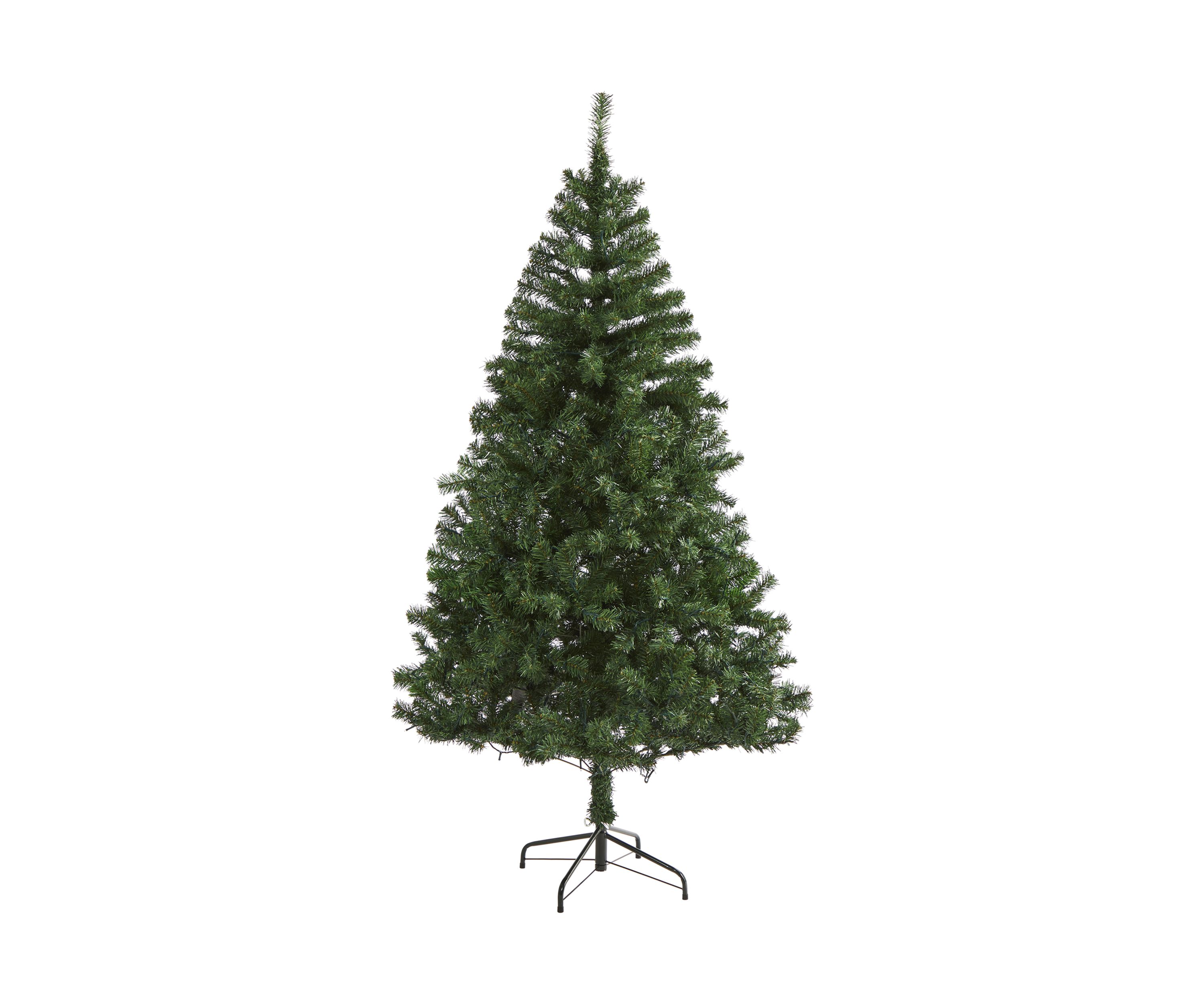 Northern Tip Pine Christmas Tree