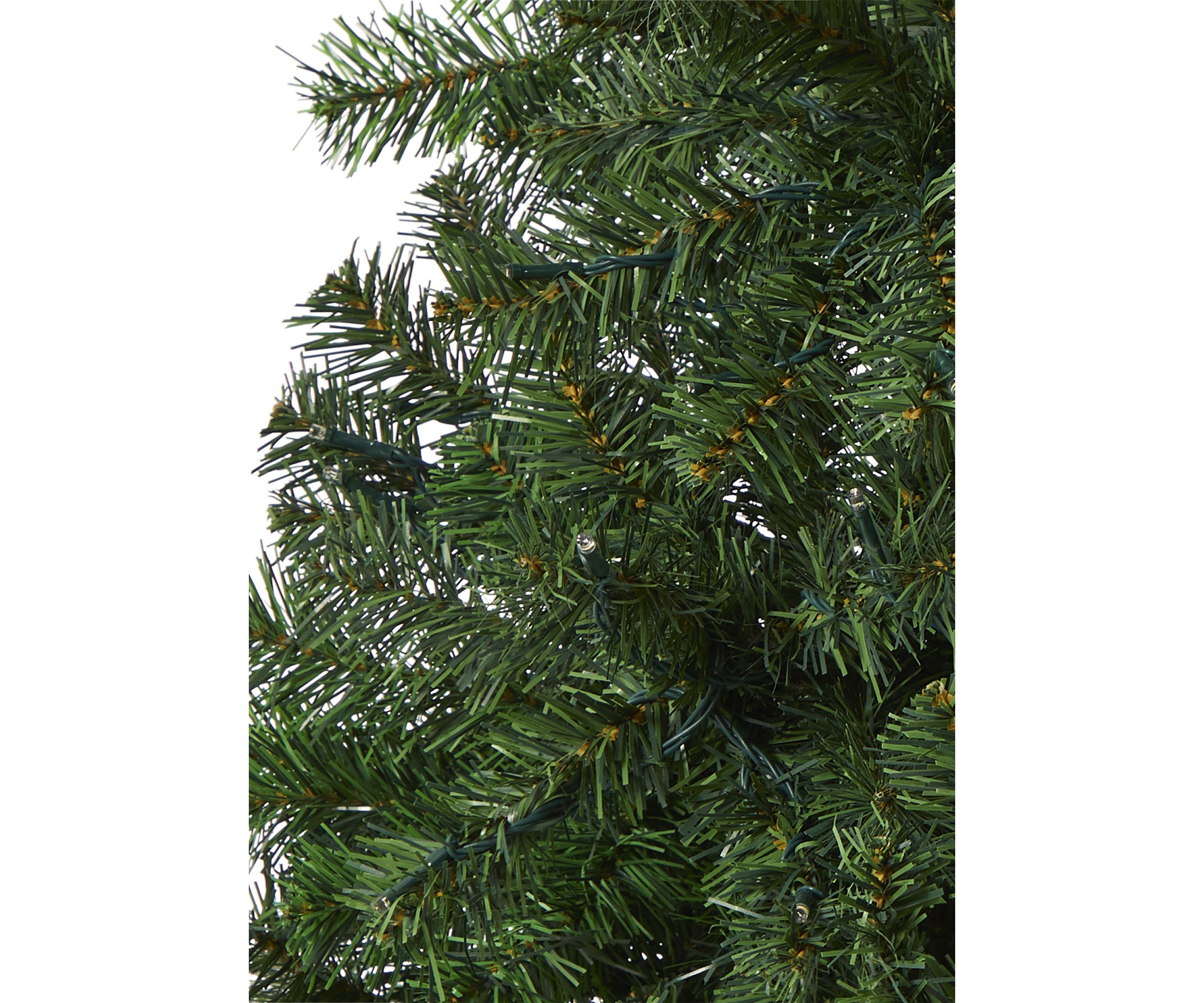 Northern Tip Pine Christmas Tree