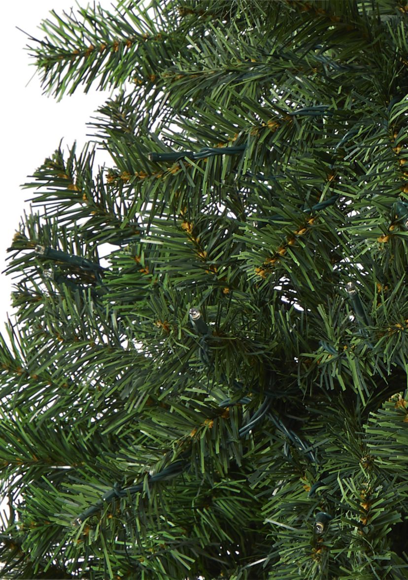 Northern Tip Pine Christmas Tree