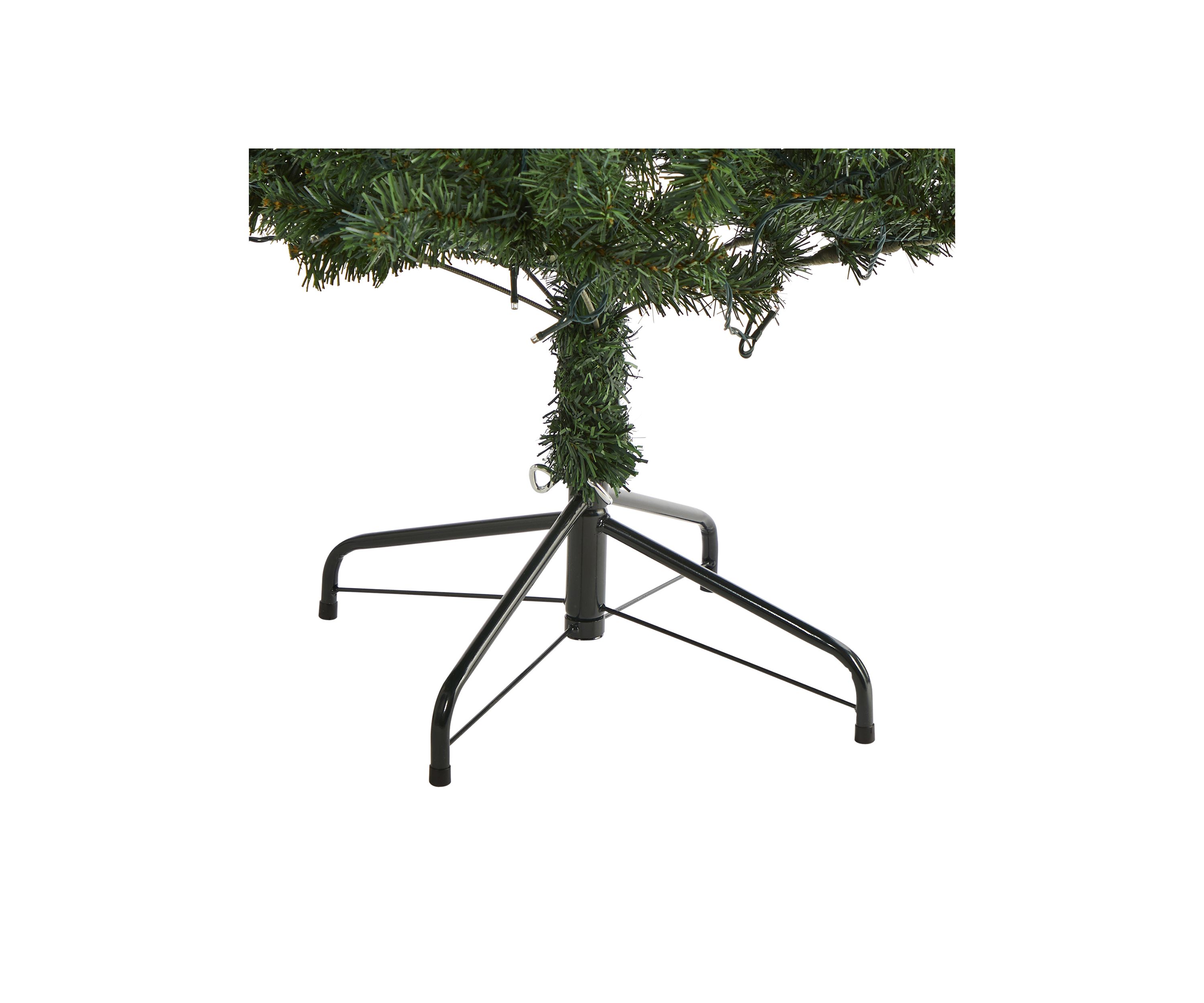 Northern Tip Pine Christmas Tree