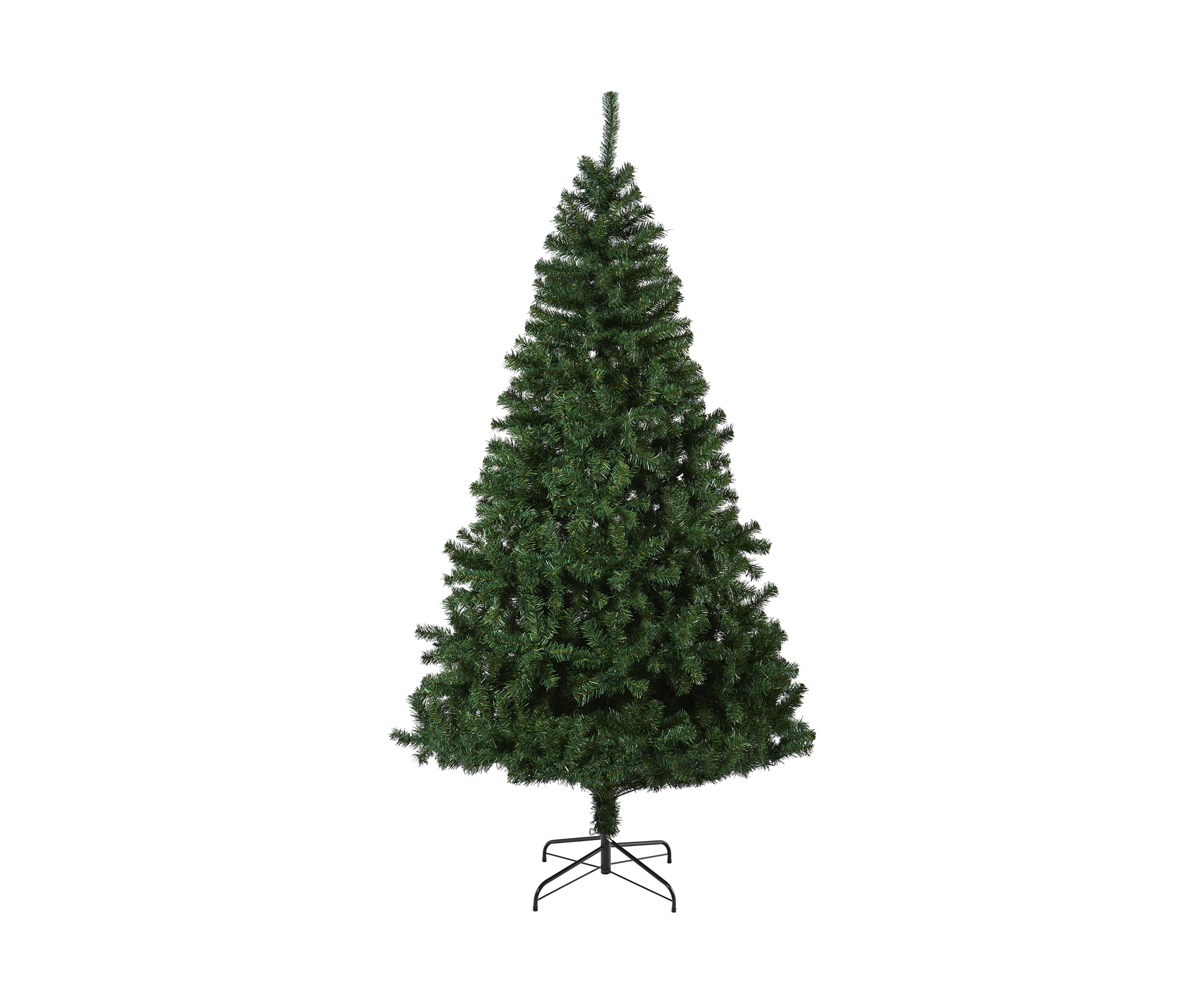Northern Tip Pine Christmas Tree