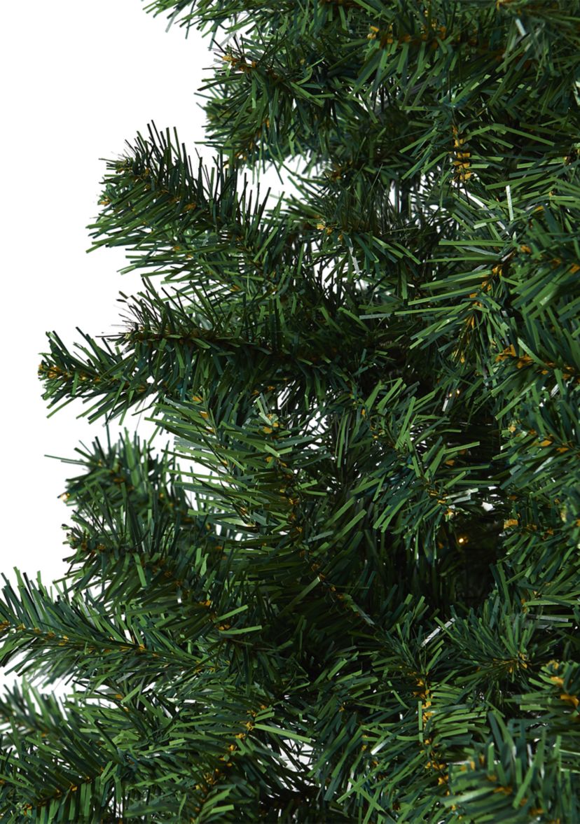 Northern Tip Pine Christmas Tree