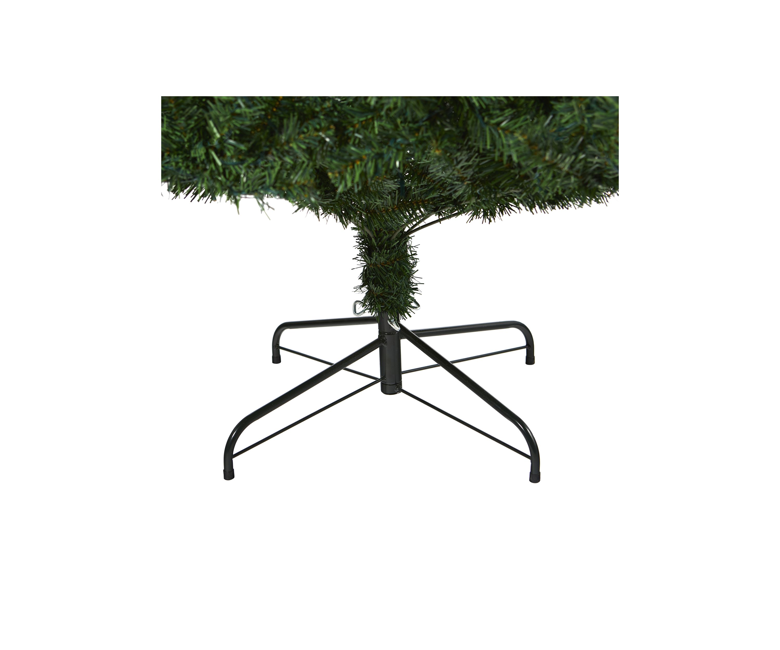 Northern Tip Pine Christmas Tree