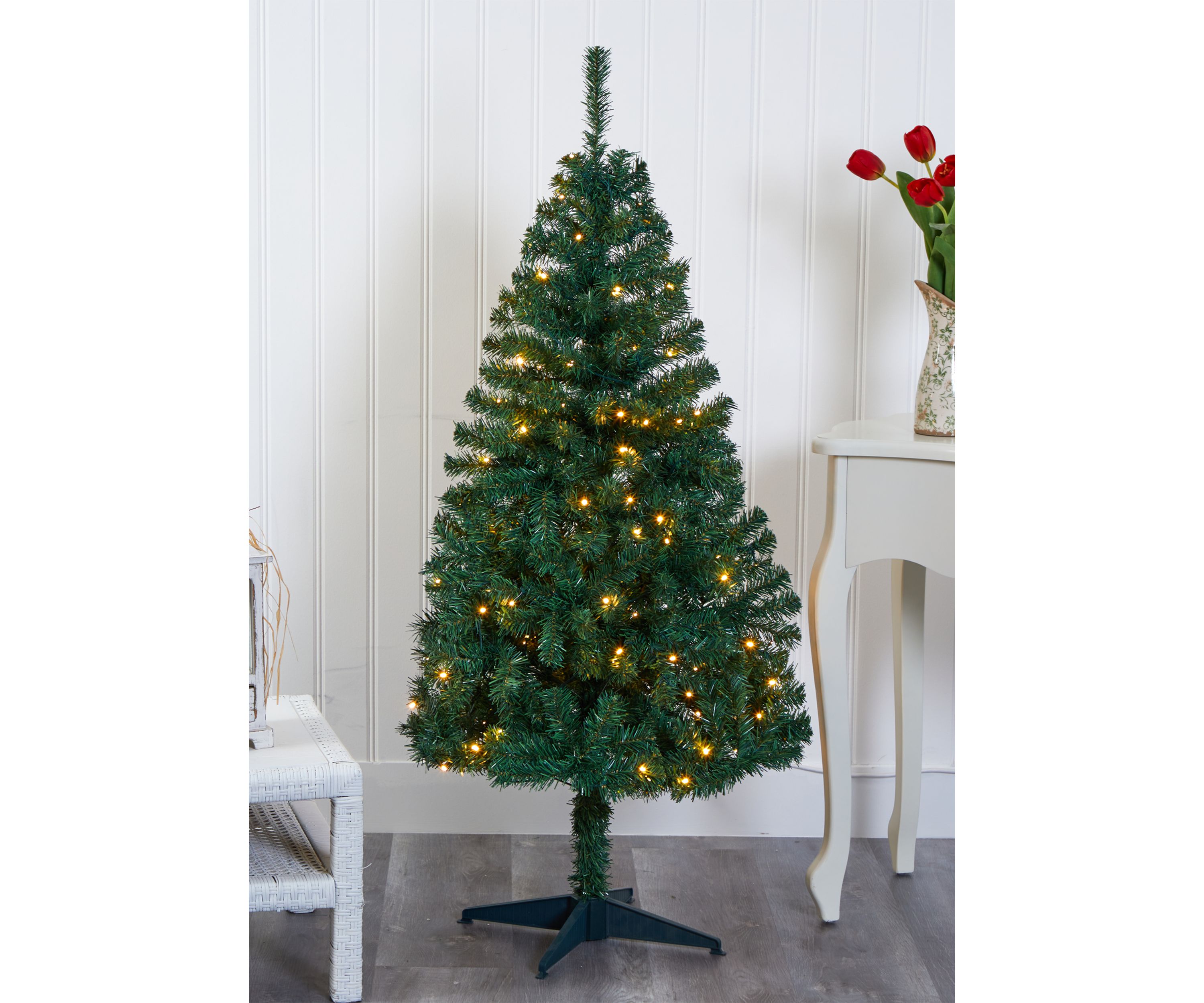 Northern Tip Pine Christmas Tree