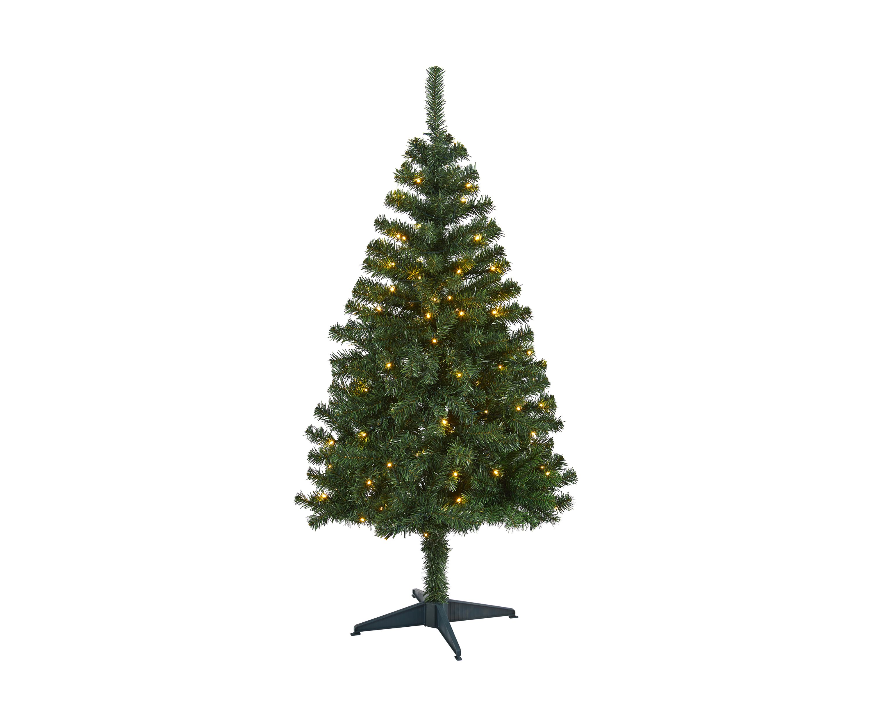 Northern Tip Pine Christmas Tree