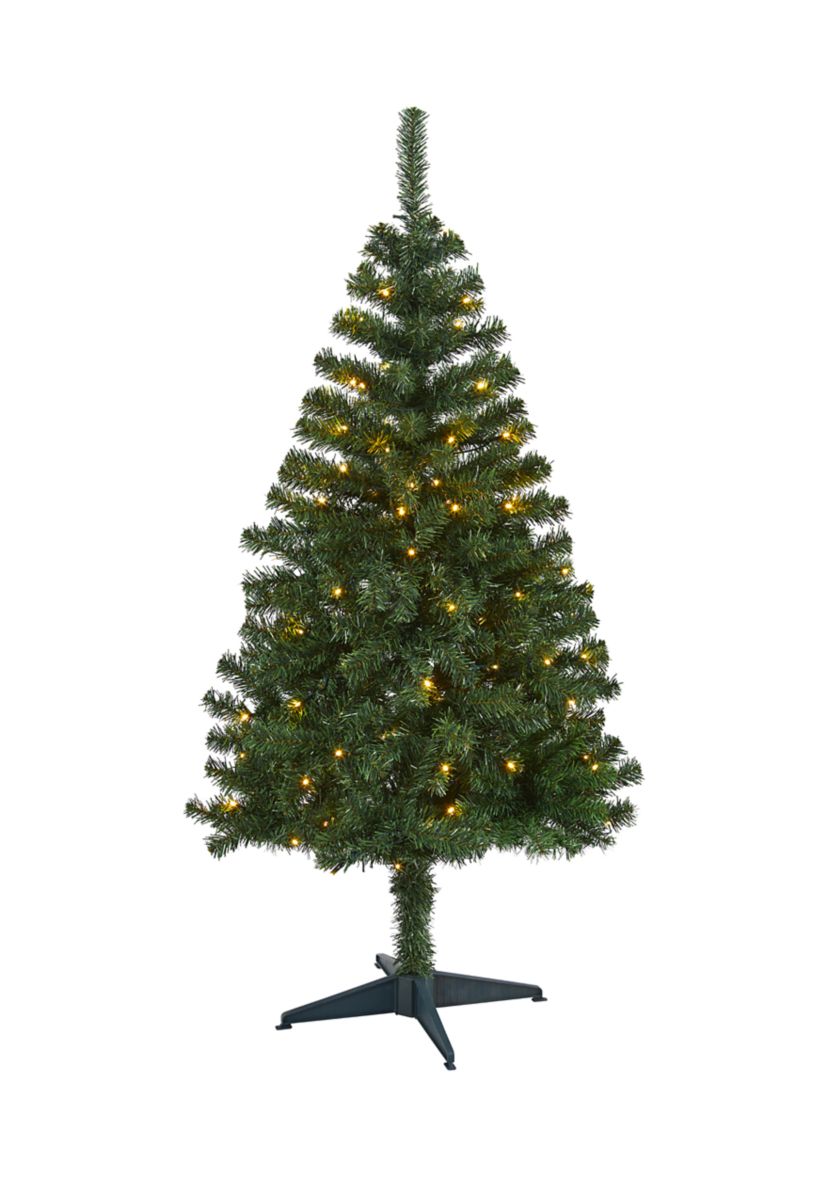 Northern Tip Pine Christmas Tree